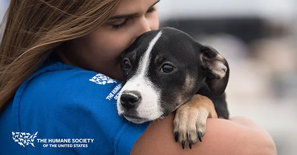 Increase Funding for Animal Shelters