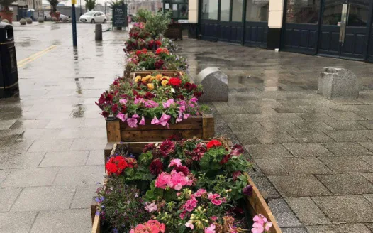 Ala Turka Ramsgate Flowers