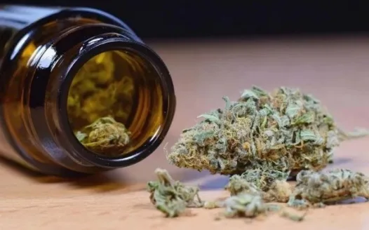 Make CBD legal on Campus for 18 and older