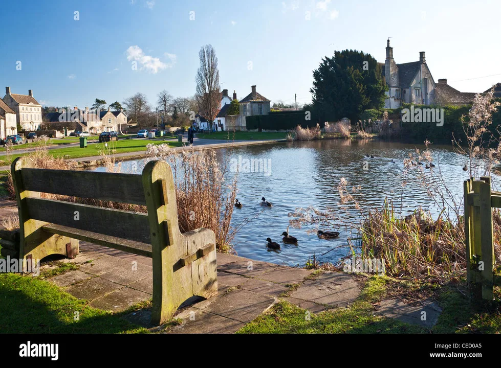 Support the Buckfastleigh Ducks