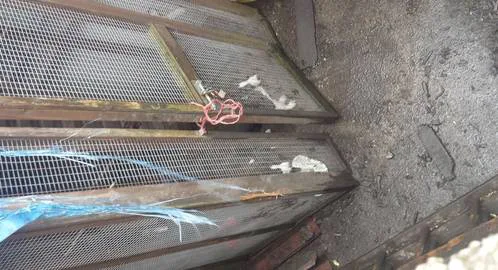Animal Cruelty and Neglect - Goytre neighbour