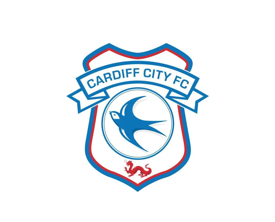 Cardiff City FC Kit 2013/2014