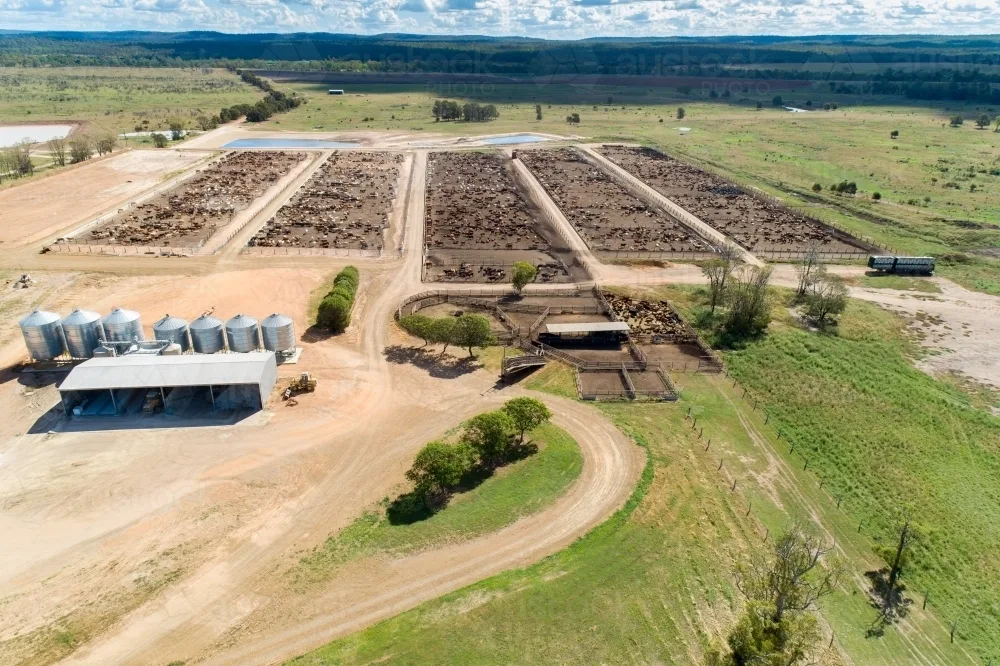 No More Feedlots