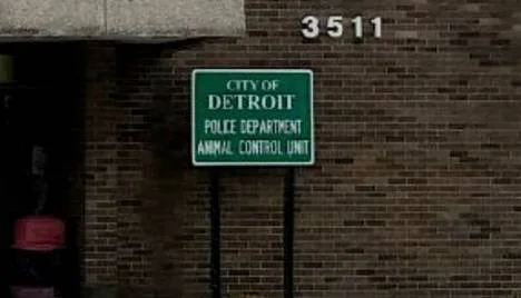 DETROIT ANIMAL CONTROL TAKE DOWN YOUR LYING SIGN