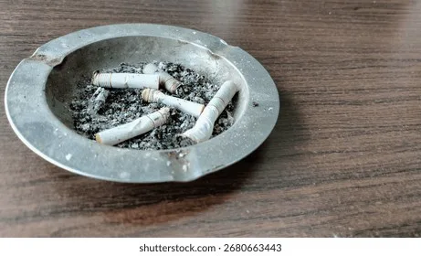 Smokers Unite Against Elected Officials
