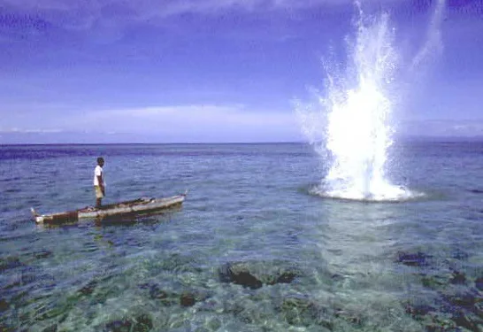 Stop Blast Fishing in Tanzania!