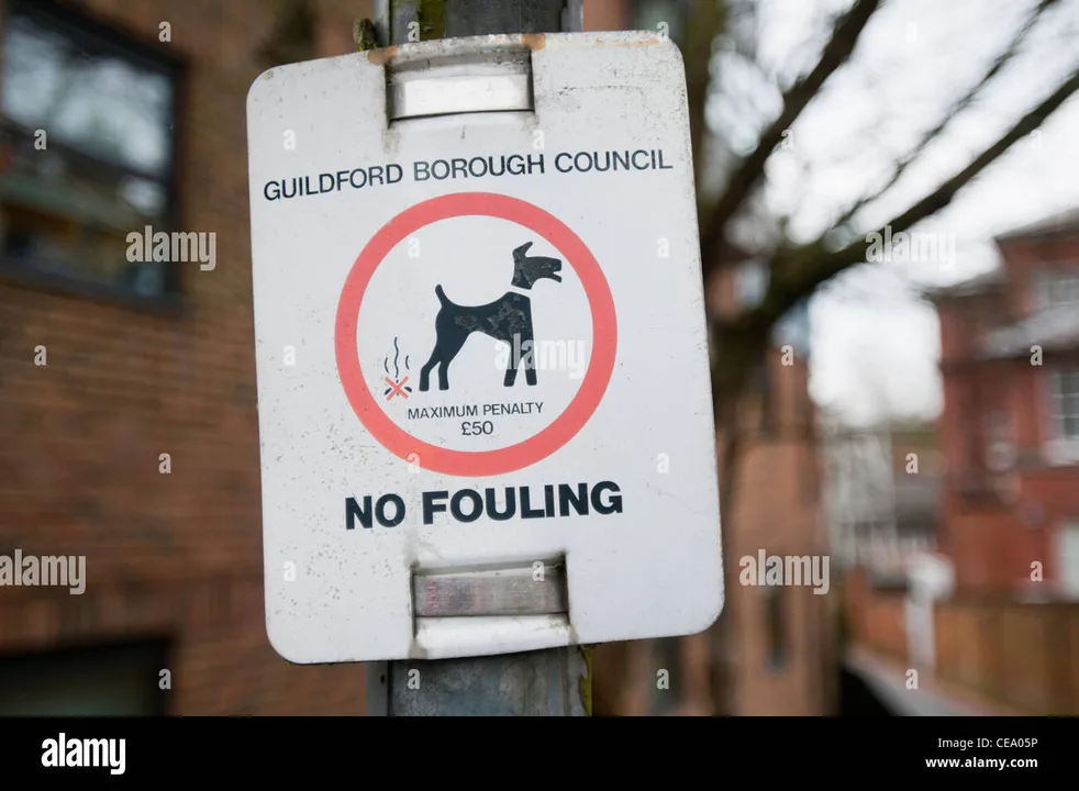 Clean up the poop on the streets Of Rowley Regis