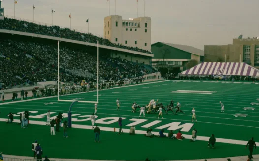 Stop the Ryan Field Project!/¡Pare el Proyecto de la Cancha Ryan!