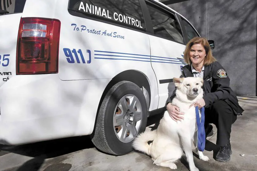DOG WARDEN ROLE TO BE REINSTATED IN THE MILTON KEYNES AND SURROUNDING AREAS