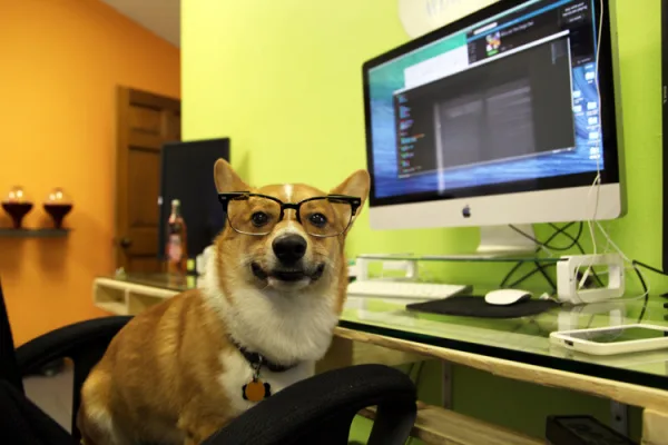 Office Puppers