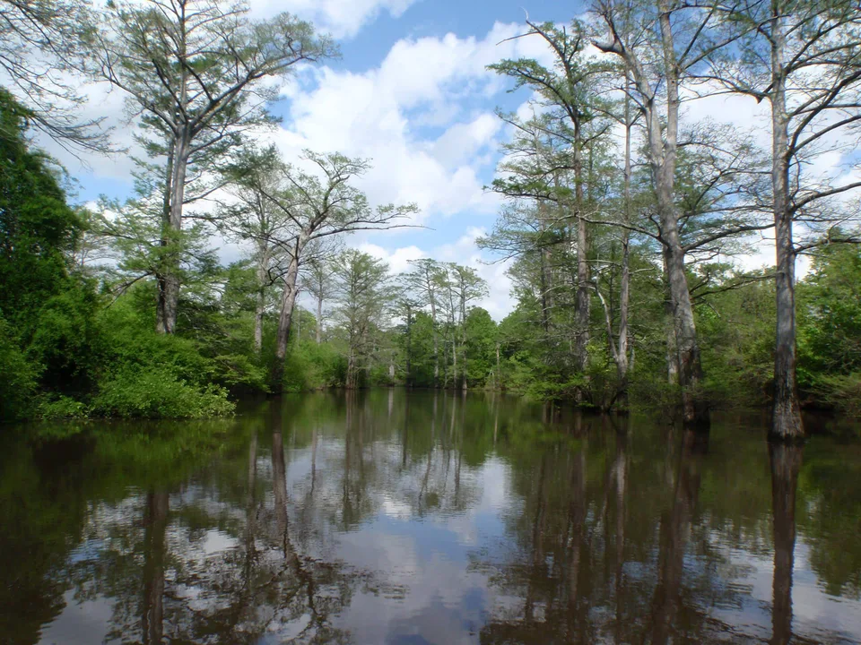 make Bayou Bartholomew a National Park