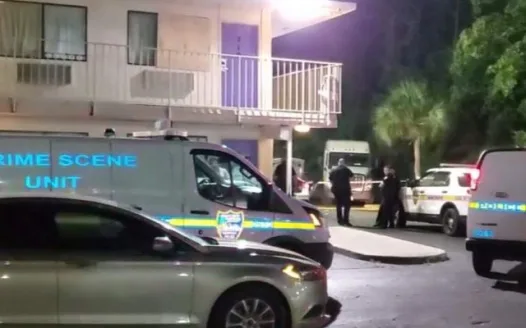 Shut down hotels on Harts Road!