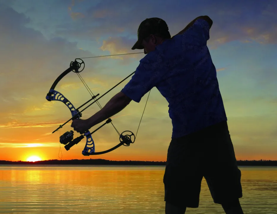 Growing revenue from a growing sport.