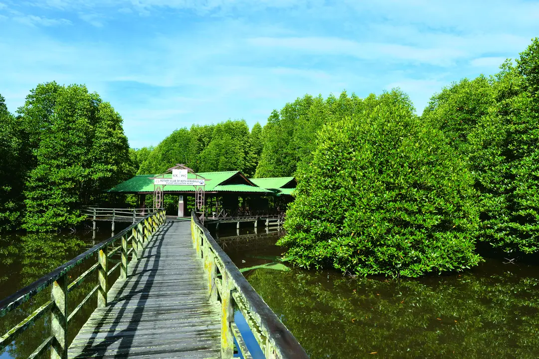 Stop building condo near Kota Kinabalu Wetlands