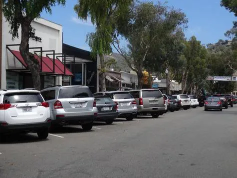 WALK FOREST, SHOP FOREST - PETITION TO CREATE PEDESTRIAN STREET ON FOREST AVE.