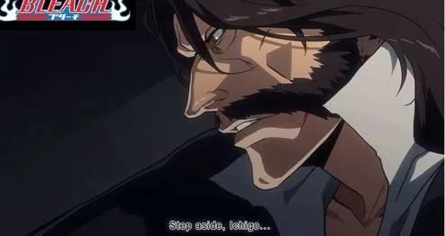 BLEACH ANIME RETURN!