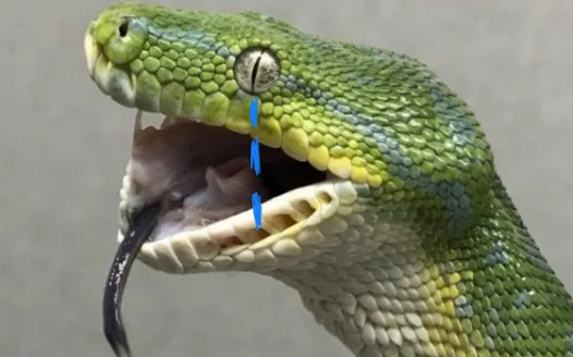 Make scientists give snakes arms