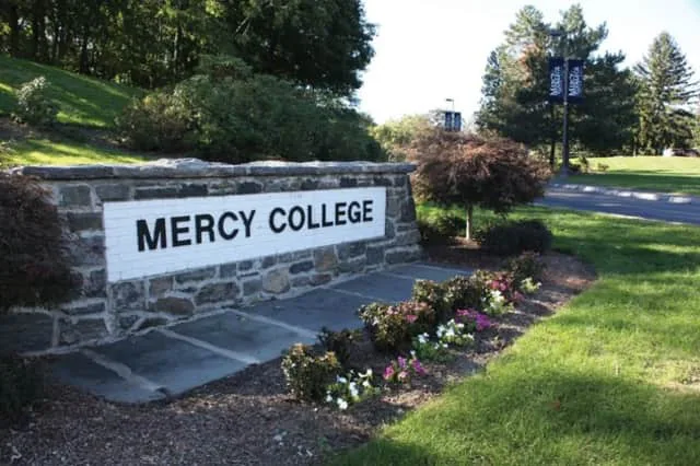 3 Phase Plan to Improve Mercy College's Student Life