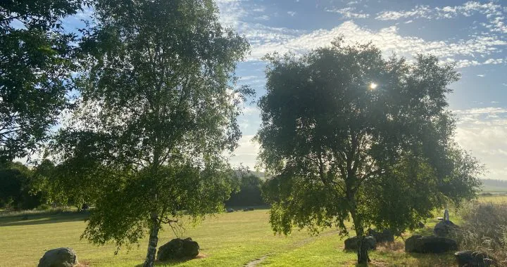 Save Pen Meadow for East Ilsley