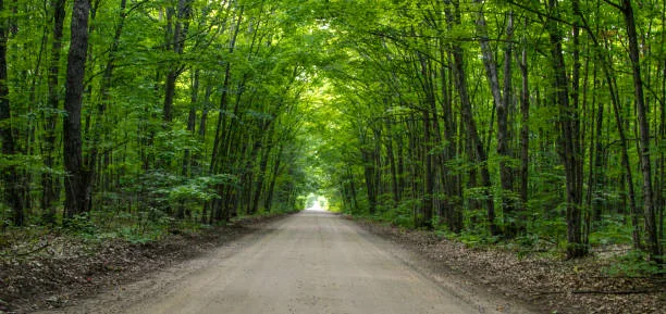 Fix Nurnberg Road - the only access road to the Nordhouse Dunes Wilderness Trailhead and 154 homes on the North side of Hamlin Lake.