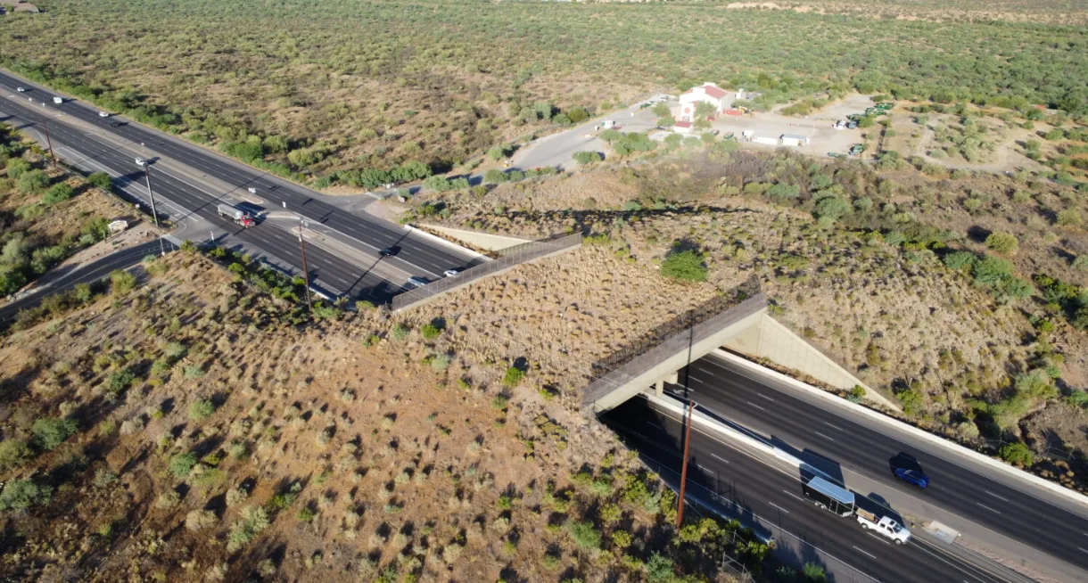 Border Wall Environmental Catastrophe