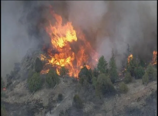 Demand Justice for Victims of the Lower North Fork Fire!