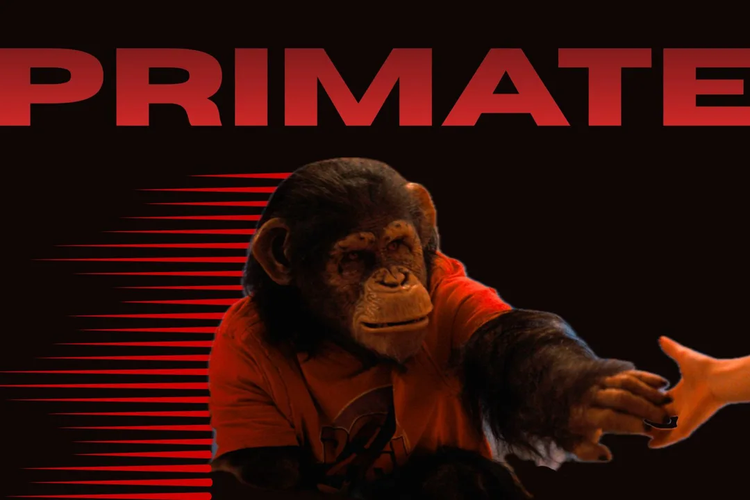 Me Monkey 2