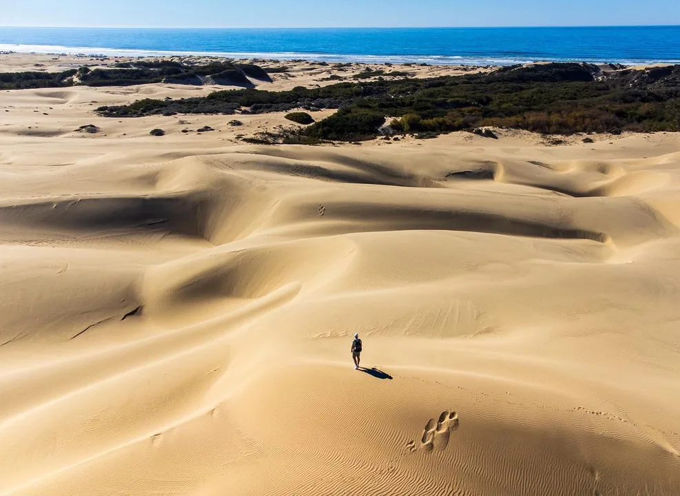 Preserve the Oceano Dunes and the environment!