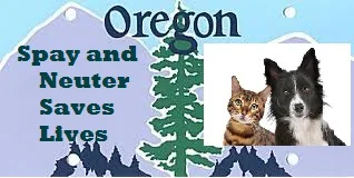 Spay and Neuter License Plate for Oregon