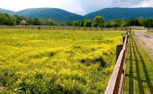 Federal Agency Reps & Officials: Tell FERC to do a PEIS for Virginia Pipelines