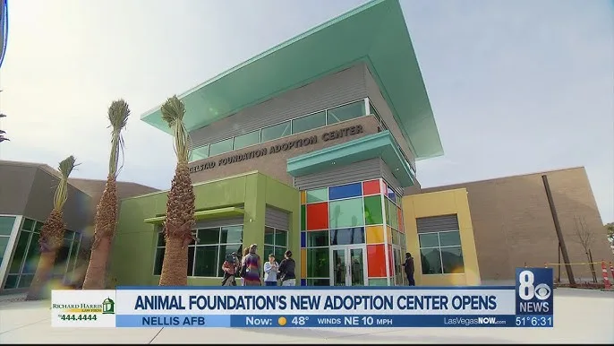 No Kill Las Vegas Shelter