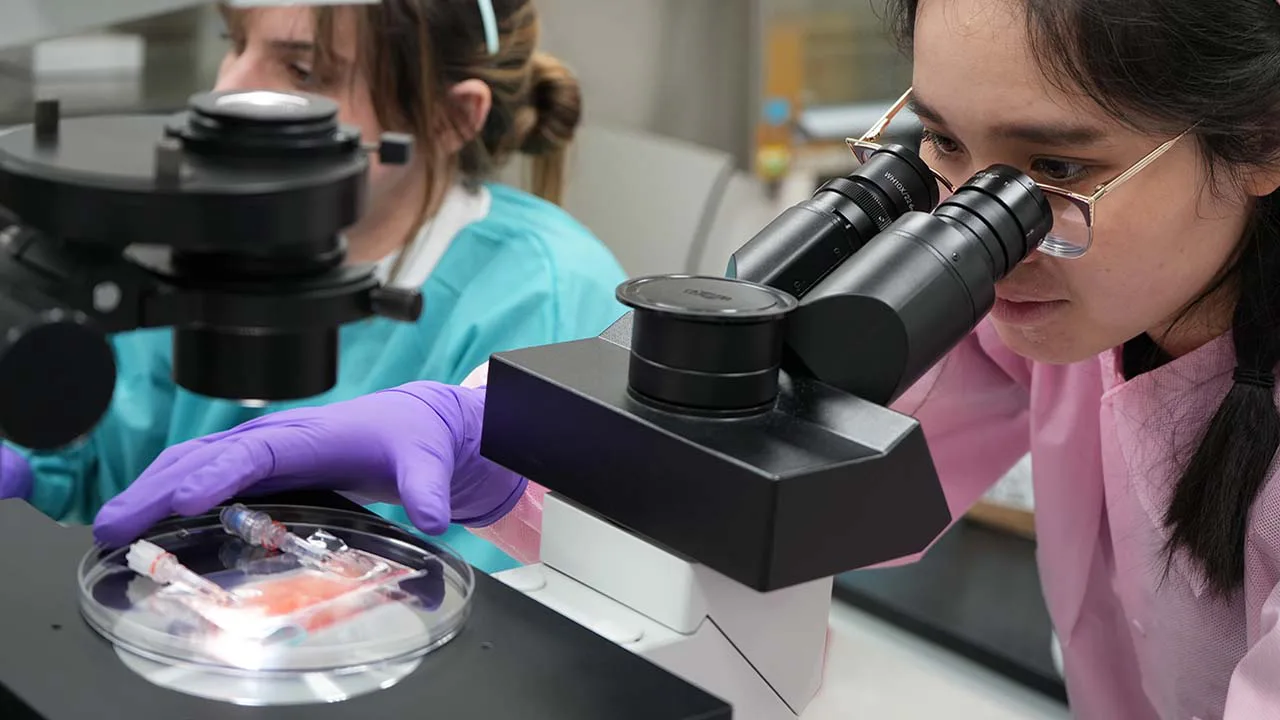 My Stem Cells are not a Drug