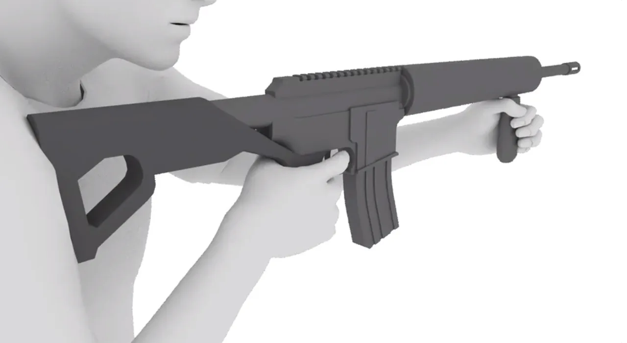 Gun Control Petition