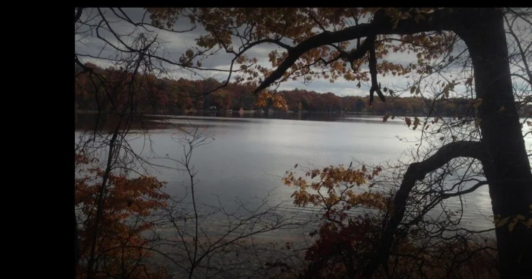Protect Sylvan Township