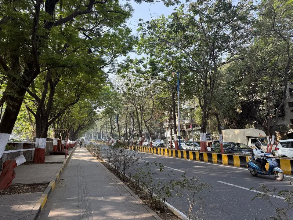 Save the trees of Gurugram