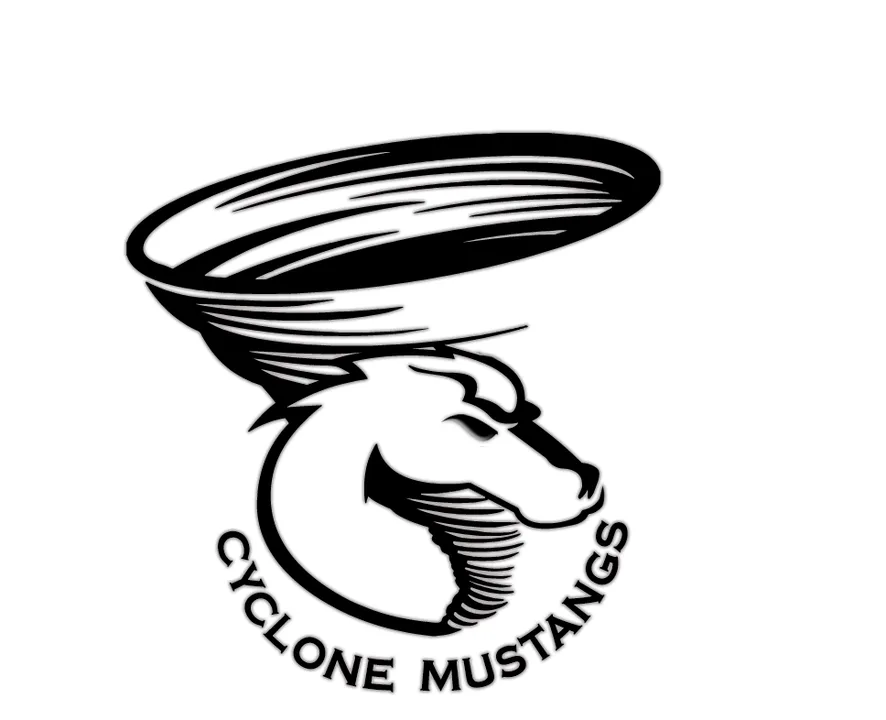 Cyclone Mustangs/Roush Performance Appreciation
