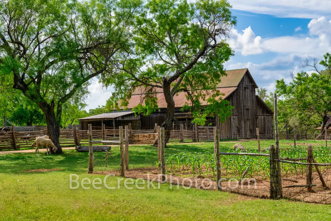 Opposition to Egg Laying Facilities in Hill County Texas