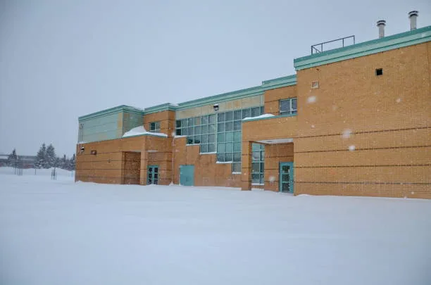 BRING SNOW DAYS BACK
