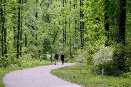 Rocky Branch Greenway and no big box chain on Assembly street.