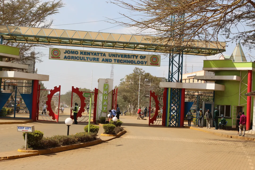 REMOVAL OF FEES FOR UNUSED SERVICES IN JKUAT
