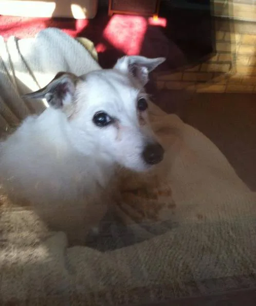 Maggie's Story
