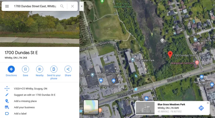 Turn 1700 dundas street east forest to a conservation forest