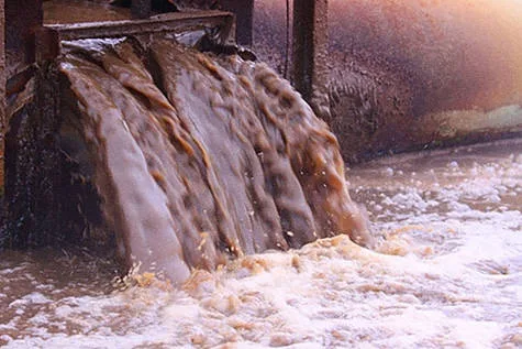 Pigs Won't Fly Here!  STOP Spread of CAFOs