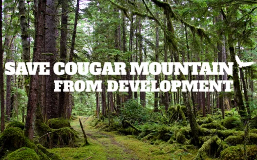 Saved Cougar Mountain!