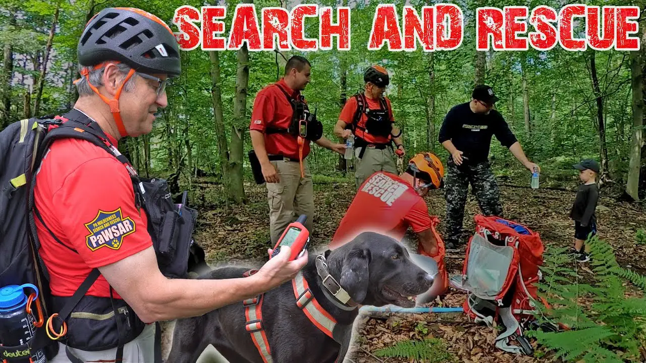 Petition To Give Harry Oakes A Kyron Horman Scent Article To Search For Kyron