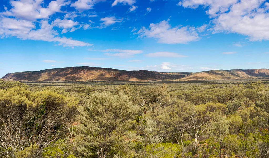 Say NO to shooting in NSW National Parks