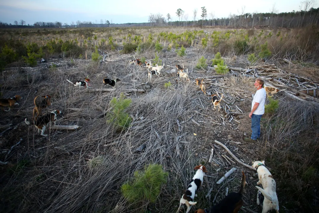 KEEP OUR FOX PRESERVES OPEN IN VIRGINIA