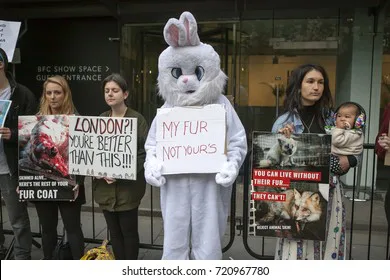 Stop Animal Cruelty!
