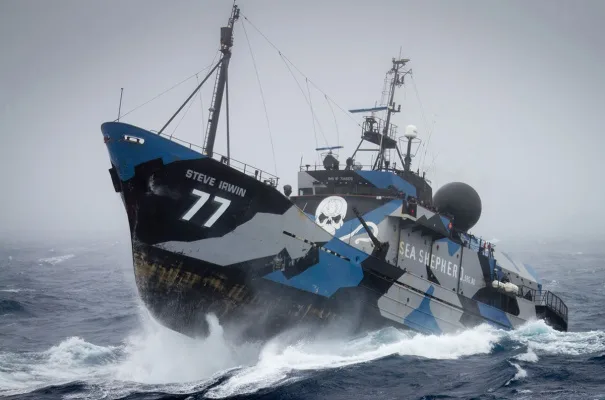 Sink the Steve Irwin in Melbourne