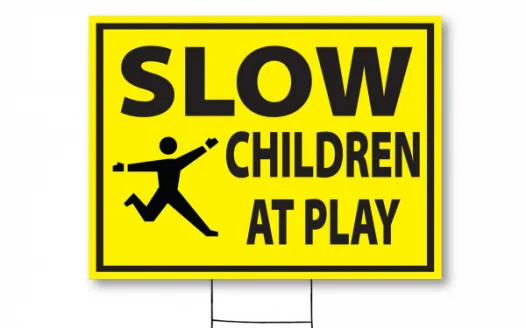Slow Down to Save a Life! We Need Speed Bumps!